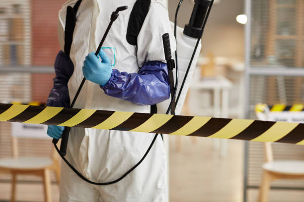 Professional Sewage Cleanup technician working in Macatawa, MI